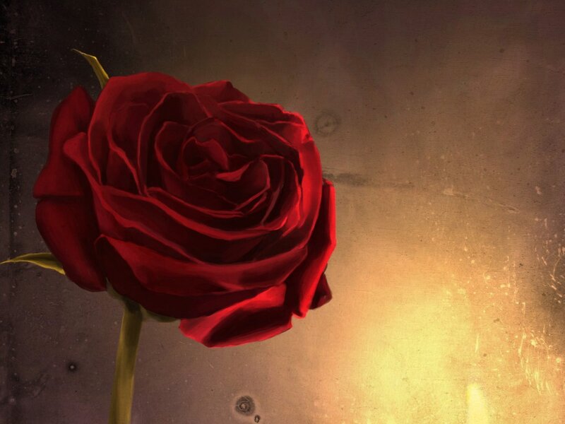 Red Rose on Stem — Dramatic