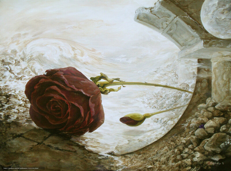 Red Rose on Stone Path
