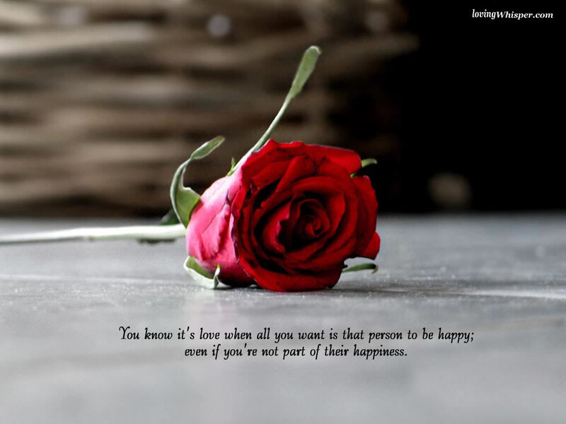 Red Rose on Surface — Melancholic