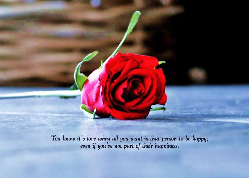 Red Rose on Surface — Reflective