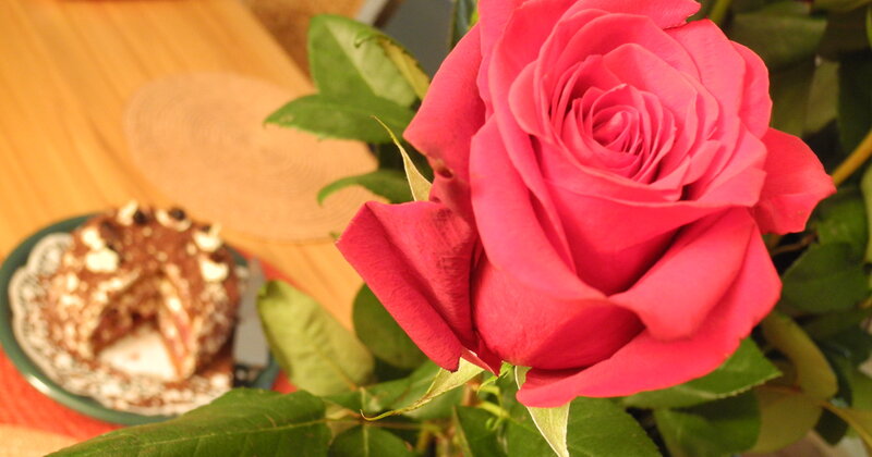 Red Rose on Table — Calm, Photograph, Cake