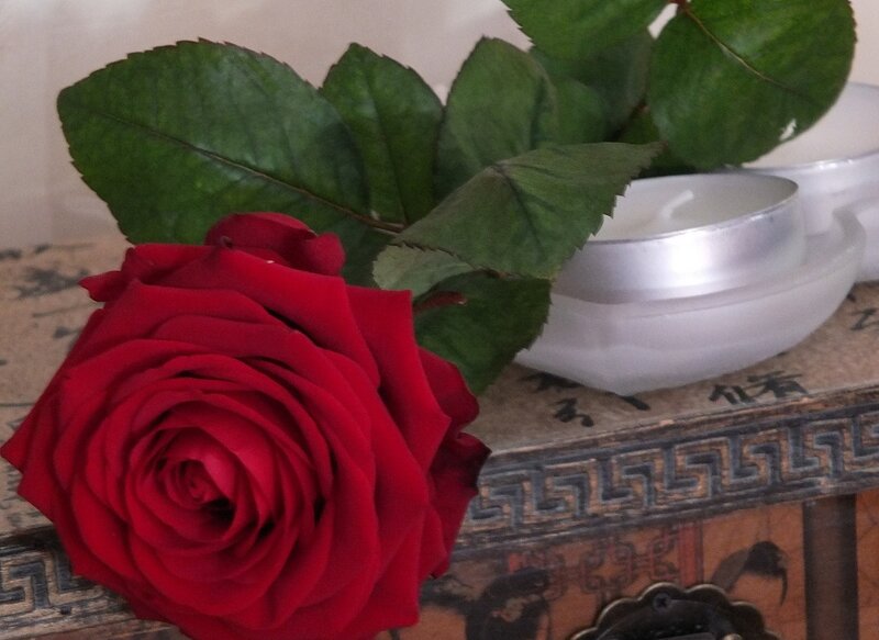 Red Rose on Table — Calm, Photograph, Leaves