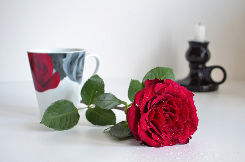 Red Rose on Table — Serene, Photograph