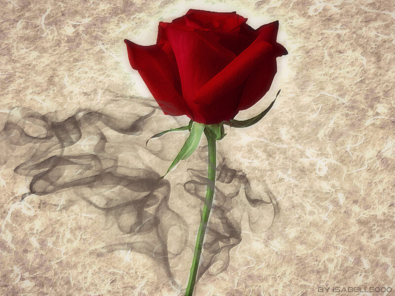 Red Rose on Textured Background — Dramatic, Digital Art, Stem