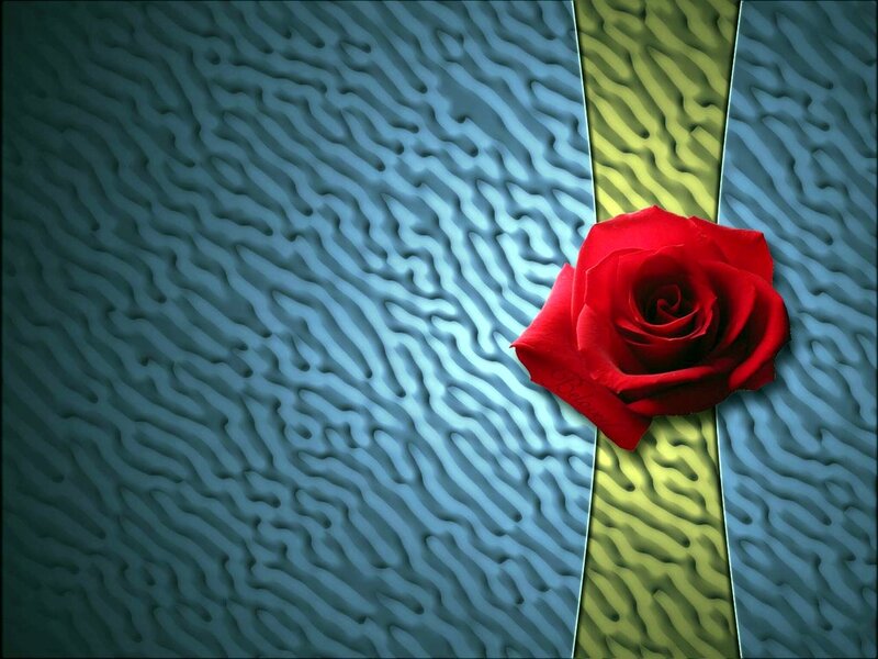 Red Rose on Textured Background — Dramatic, Digital Art