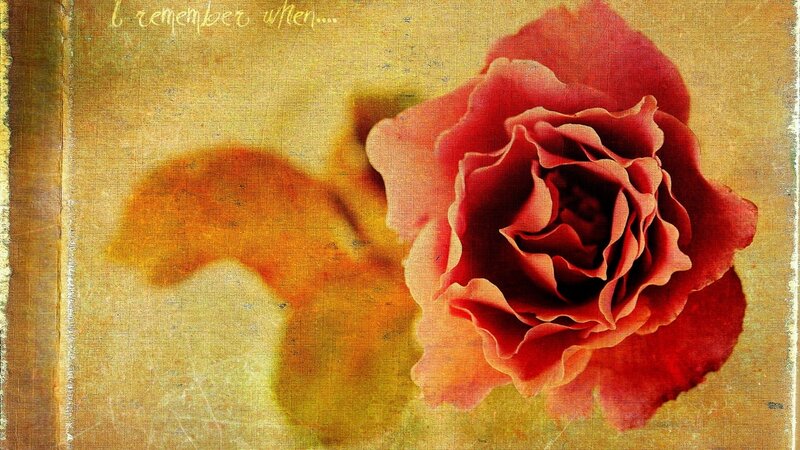 Red Rose on Textured Background — Nostalgic