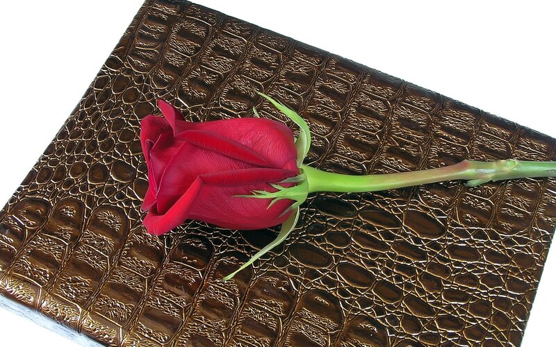 red rose on textured surface