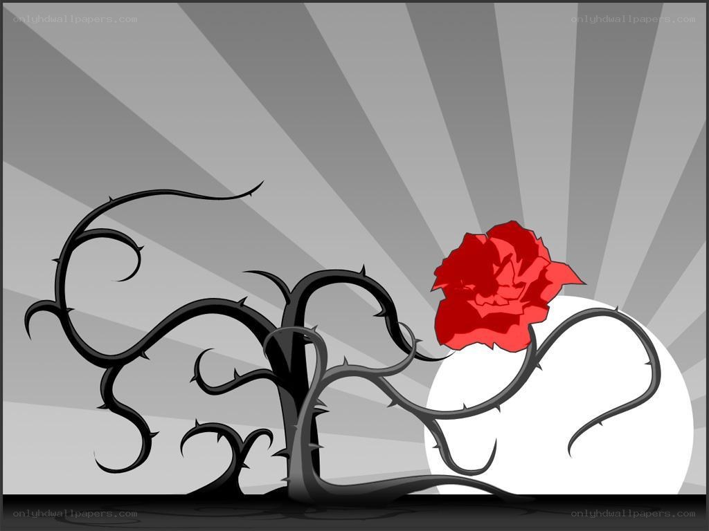 Red rose on thorny vine