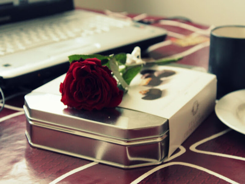 Red Rose on Tin Box