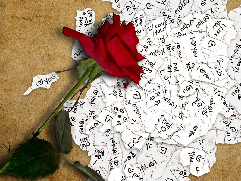 Red Rose on Torn Paper — Melancholic