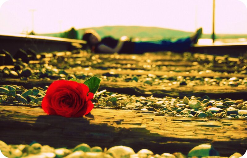 Red Rose on Tracks