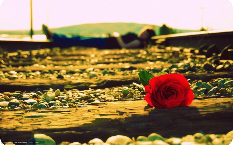 Red Rose on Train Tracks — Dramatic, Sunset, Photograph