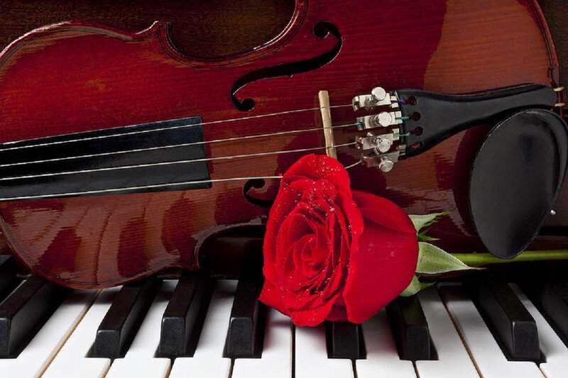 Red Rose on Violin — Romantic, Photograph