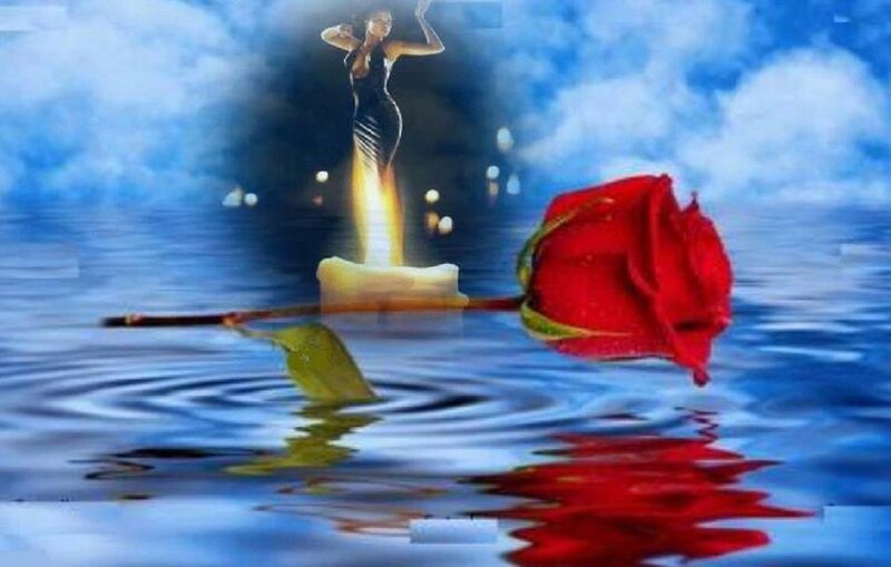 Red Rose on Water — Blue