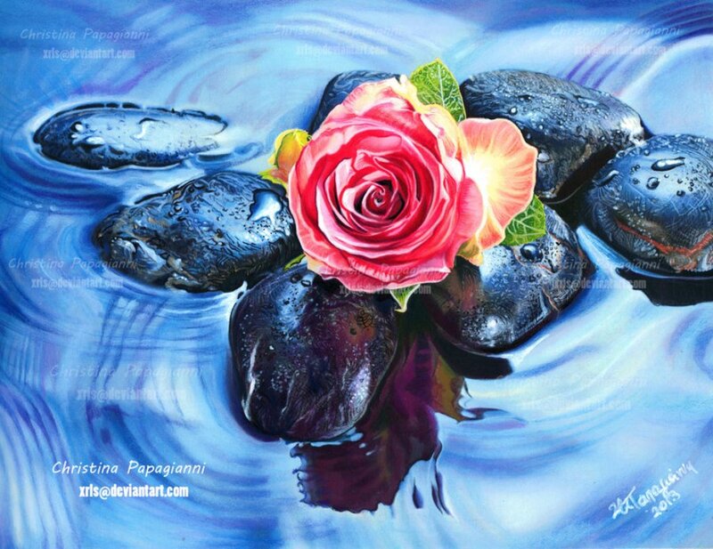 Red Rose on Wet Stones
