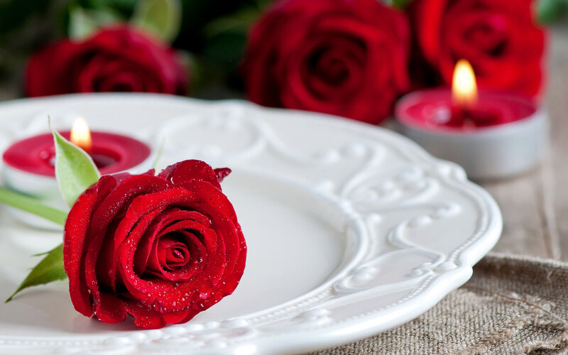 Red Rose on White Plate — Romantic
