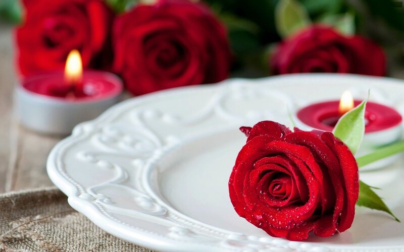 Red Rose on White Plate