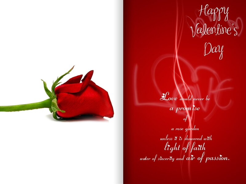 Red Rose on White — Romantic