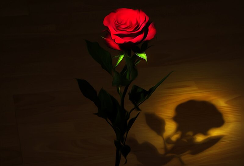 Red Rose on Wood — Dramatic, Digital Art