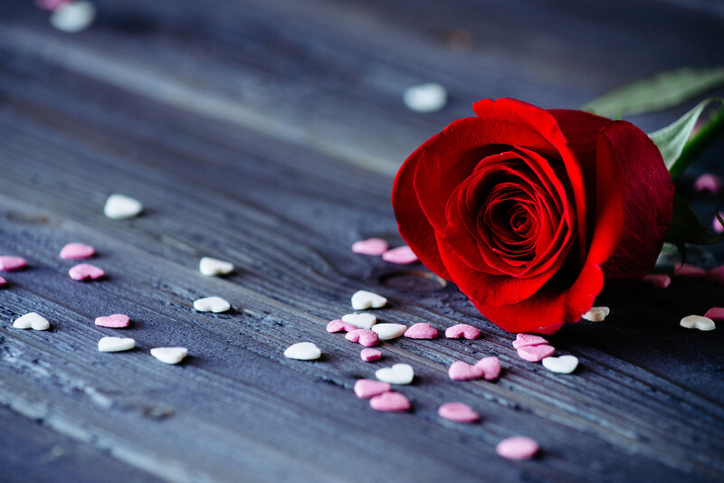Red Rose on Wood — Romantic, Photograph, Heart-shaped Candies