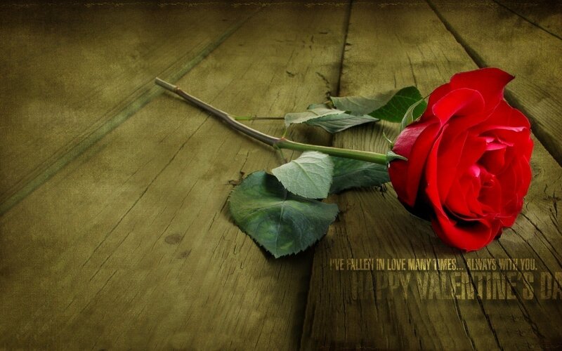 Red Rose on Wood — Romantic, Photograph