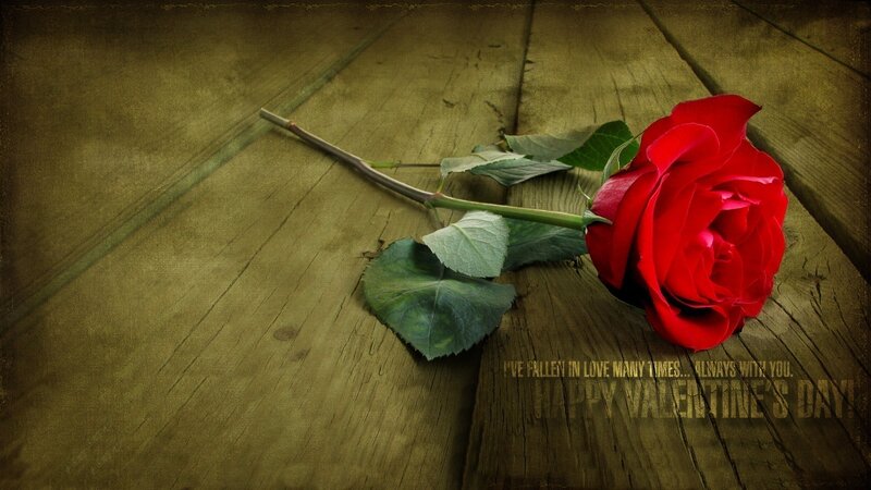 Red Rose on Wood — Romantic