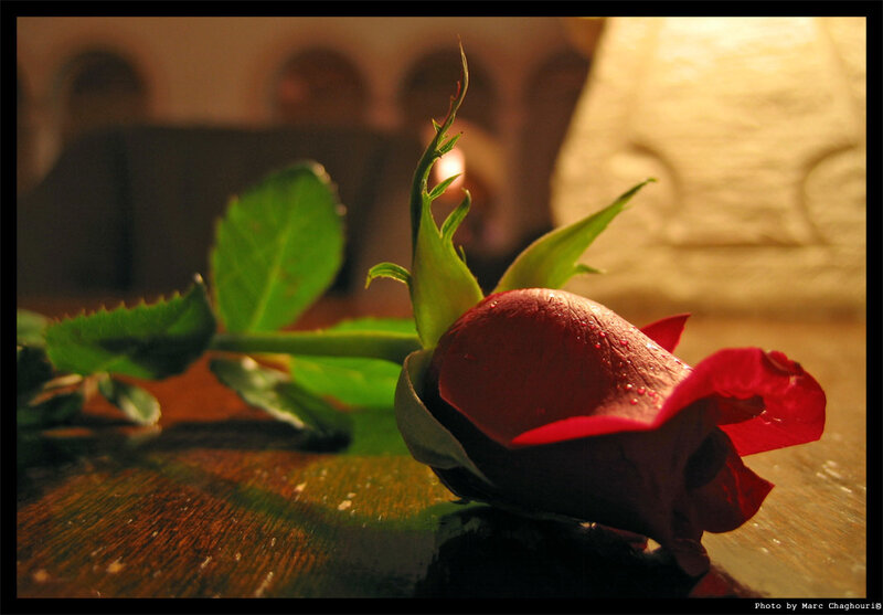Red rose on wooden table