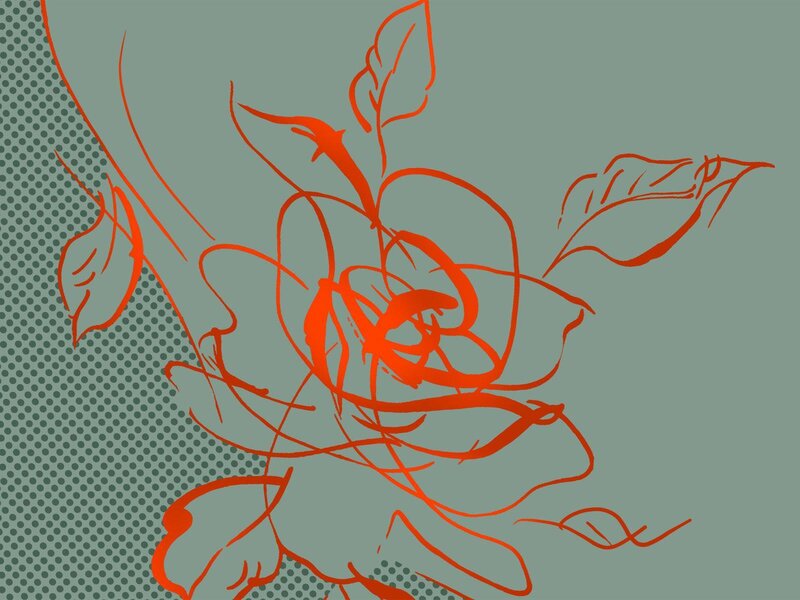 Red Rose Outline — Calm