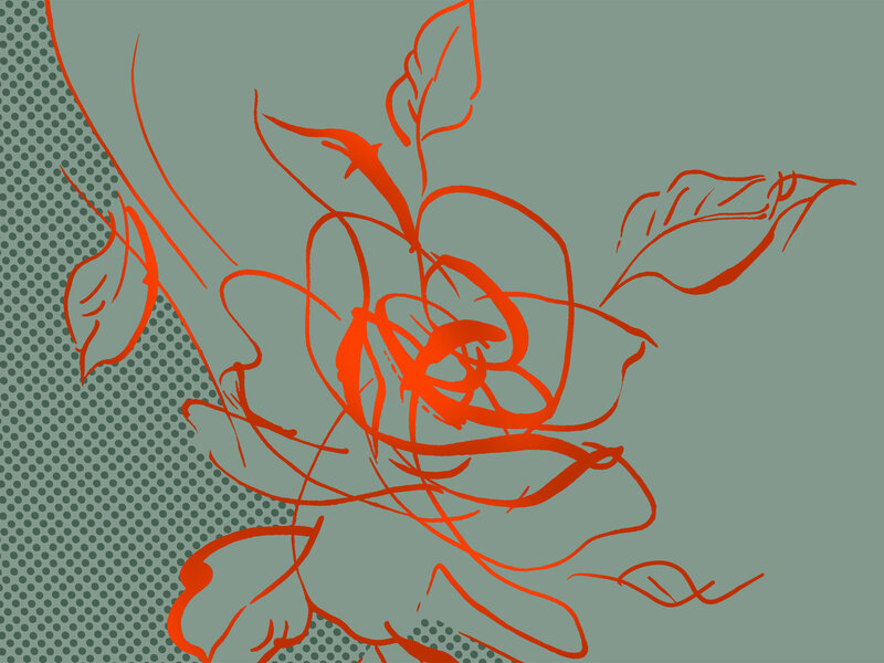 Red Rose Outline — Orange