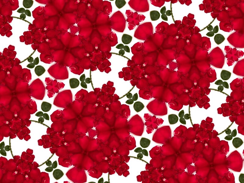 Red Rose Pattern