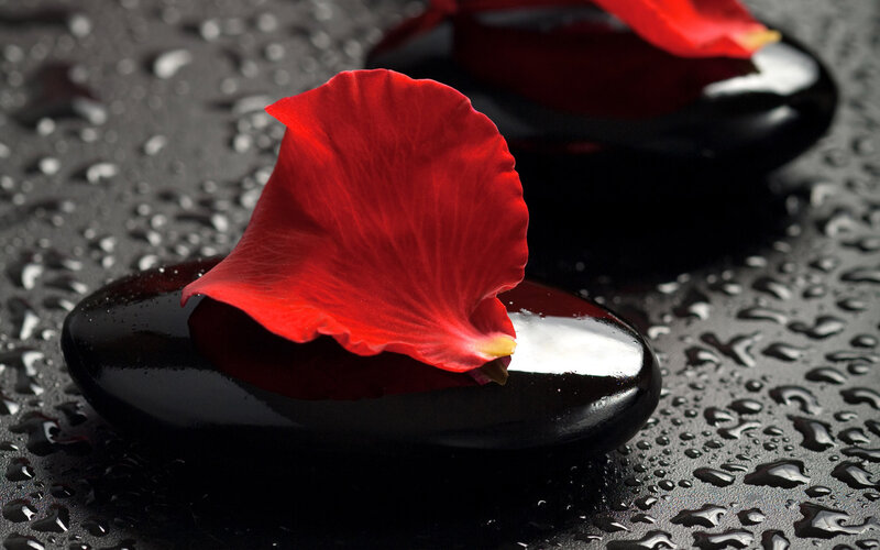Red Rose Petal on Stone