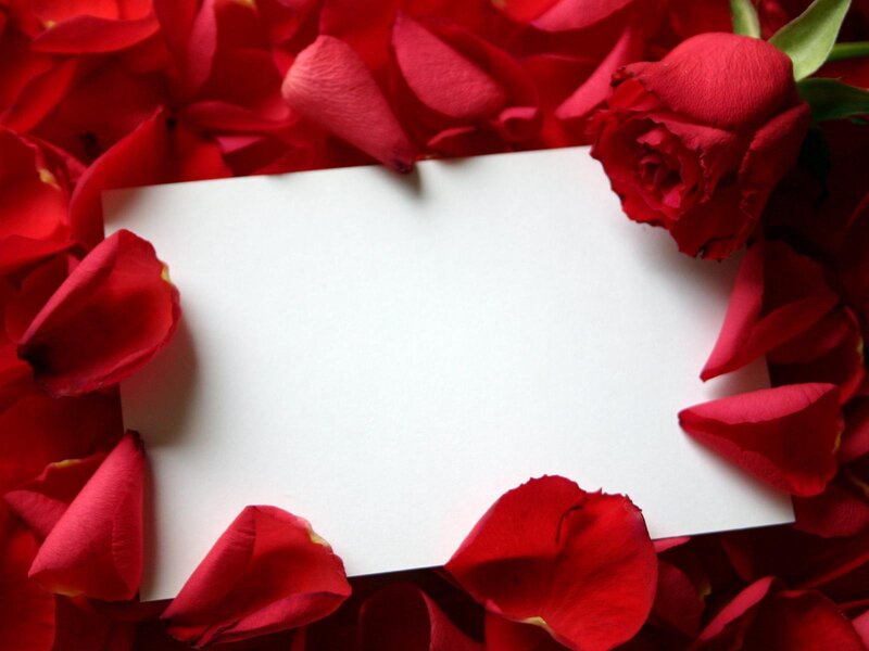 Red Rose Petals and Card