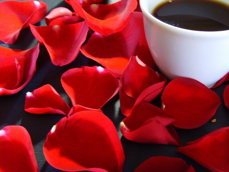 Red Rose Petals — Calm, Photograph, Coffee Cup