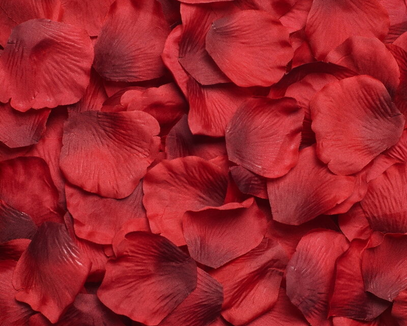 Red Rose Petals — Calm