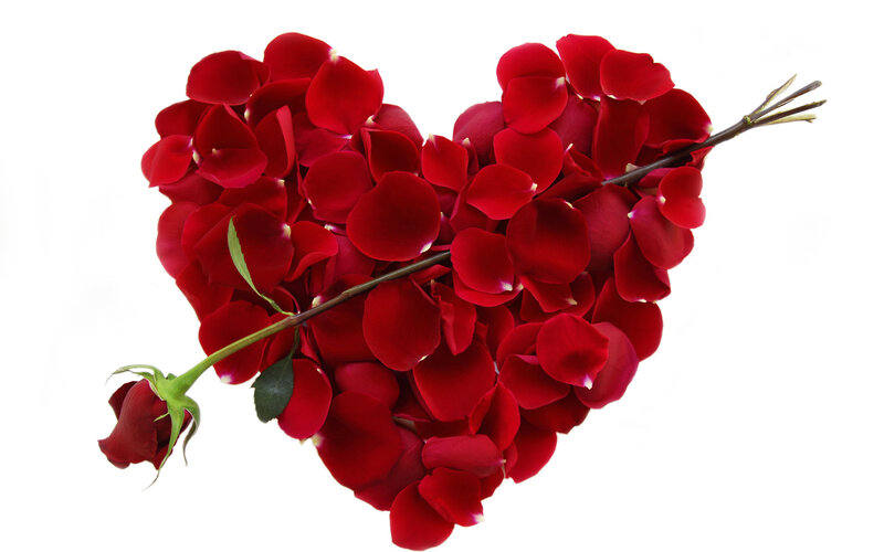 Red Rose Petals Heart — Romantic, Photograph, Rosebud