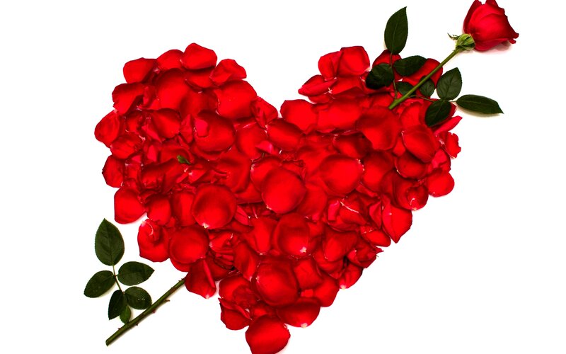 Red Rose Petals Heart — Romantic, Photograph, Stem