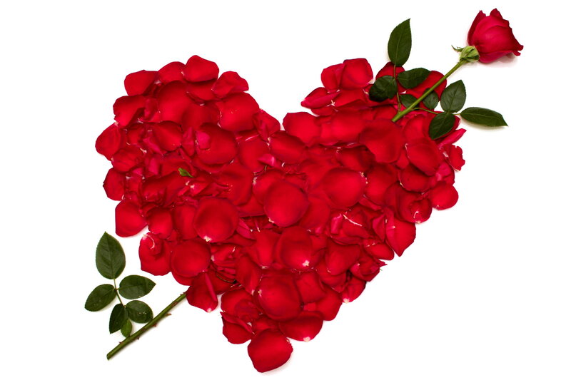 Red Rose Petals Heart — Romantic, Photograph