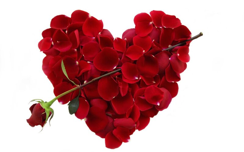 Red Rose Petals Heart — Romantic