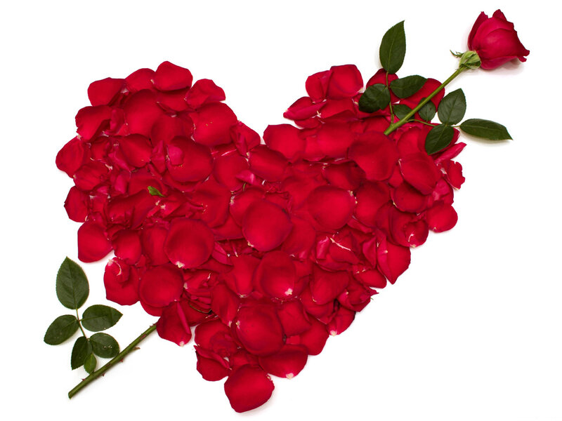 Red Rose Petals Heart