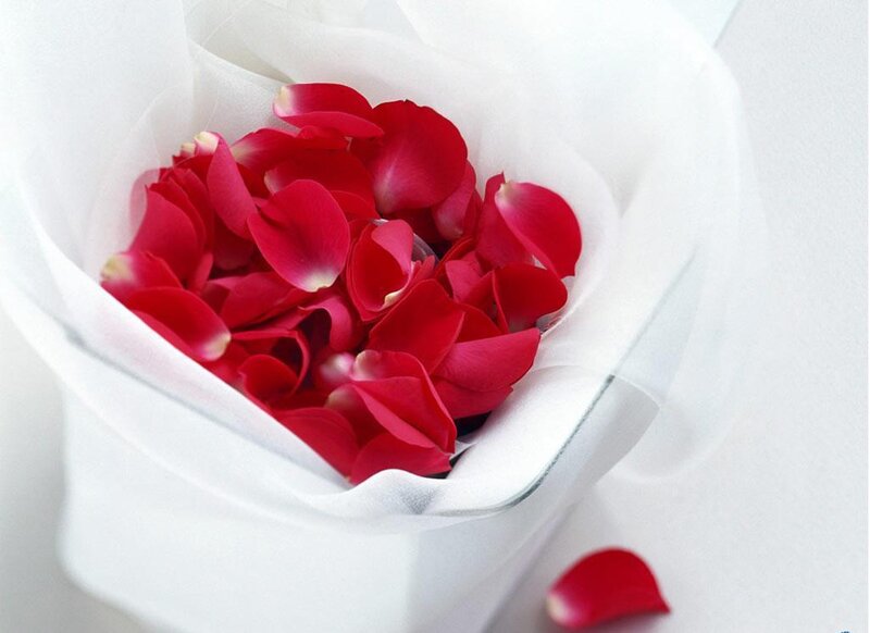 Red Rose Petals in a Bowl