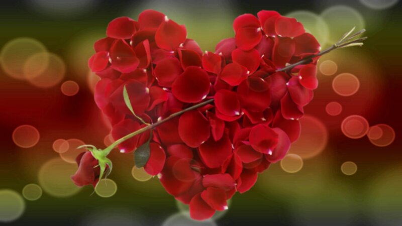 Red Rose Petals in Heart — Romantic