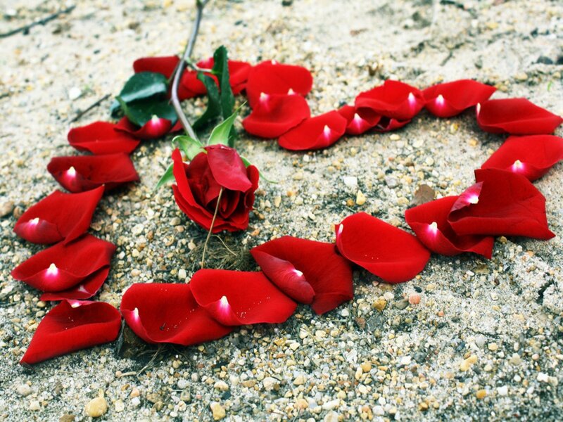 Red rose petals in heart shape