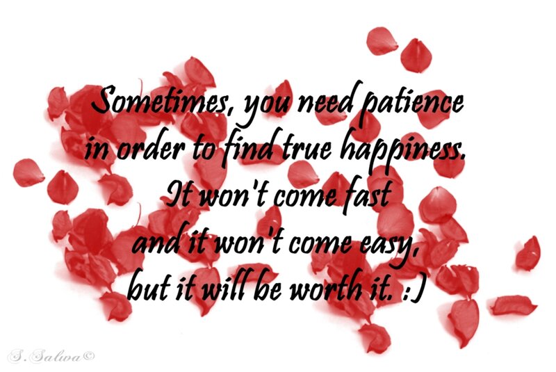 Red Rose Petals — Reflective