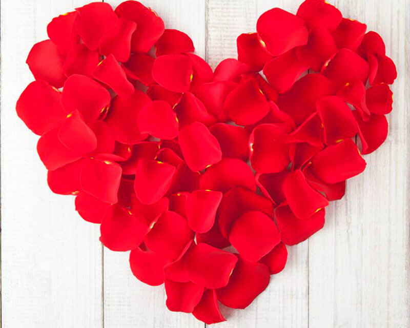 Red Rose Petals — Romantic, Photograph, Heart Shape