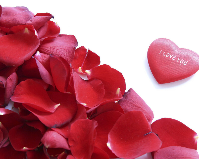 Red Rose Petals — Romantic