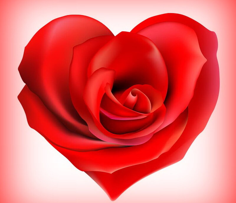 Red Rose Shaped Like Heart