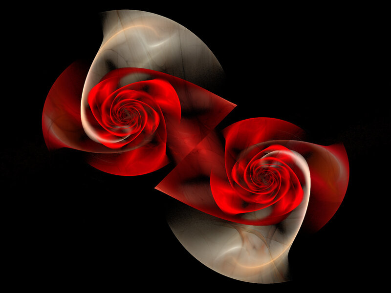 Red Rose Spirals