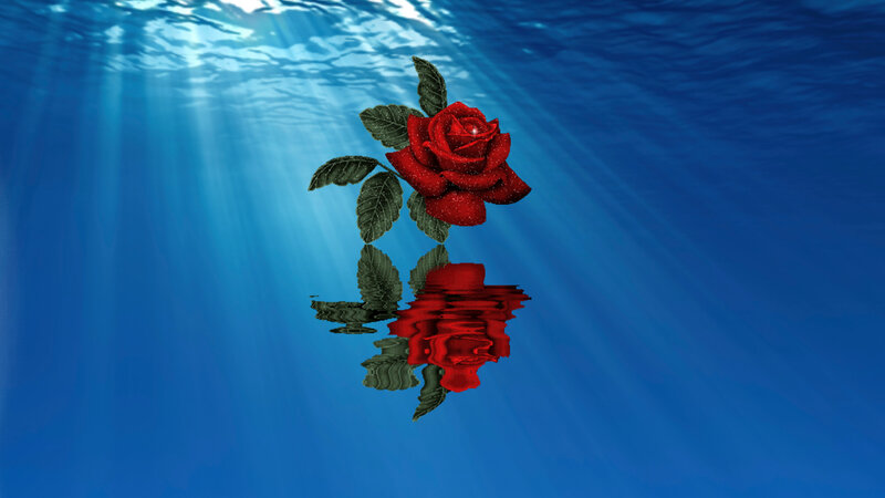 Red Rose Underwater — Blue, Serene