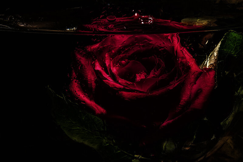 Red Rose Underwater — Dramatic, Night