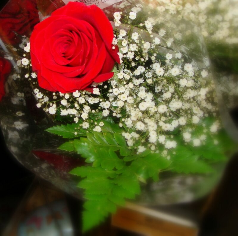 Red rose with baby's breath